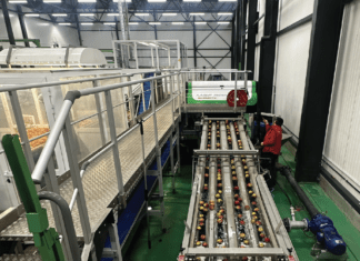 International profile: BelOrta